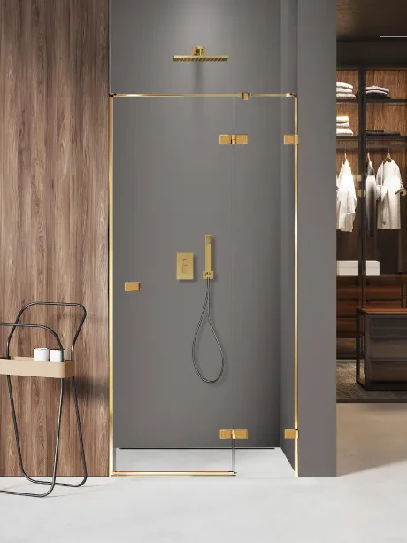 Avexa Gold Shine XR recessed door, single door